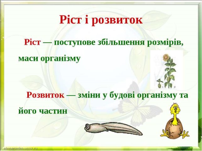 Властивості організмів - презентація з біології